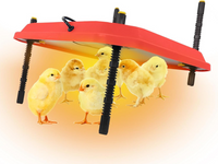 Thumbnail for Chick Brooder Heating Plate Warmer,Chicken Coop Heater