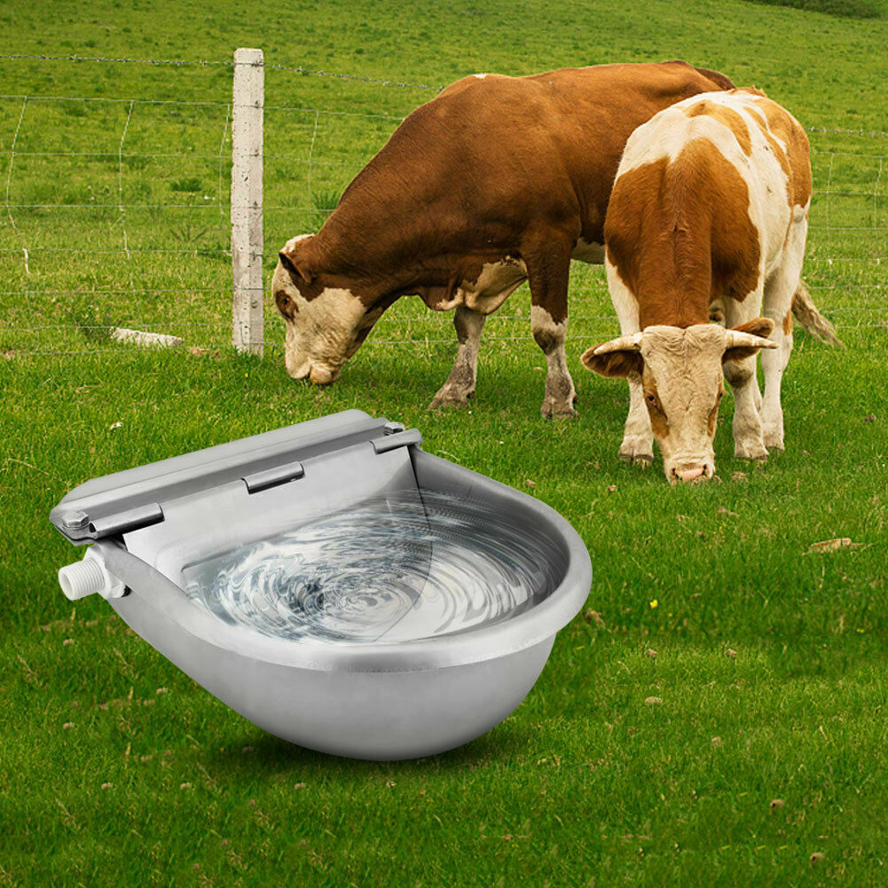 Automatic Drinking Bowl Water Trough for Livestock Cattle Horse Cows