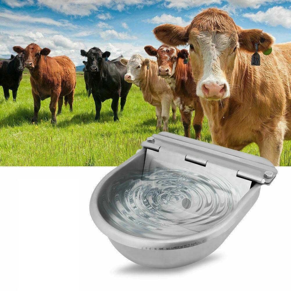 Automatic Drinking Bowl Water Trough for Livestock Cattle Horse Cows