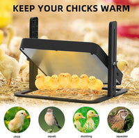 Thumbnail for Chick Brooder Heating Plate Warmer,Chicken Coop Heater