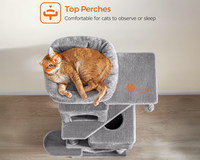 Thumbnail for Cat Tree House with Scratching Posts