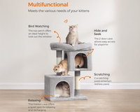 Thumbnail for Cat Tree House with Scratching Posts