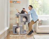 Thumbnail for Cat Tree House with Scratching Posts