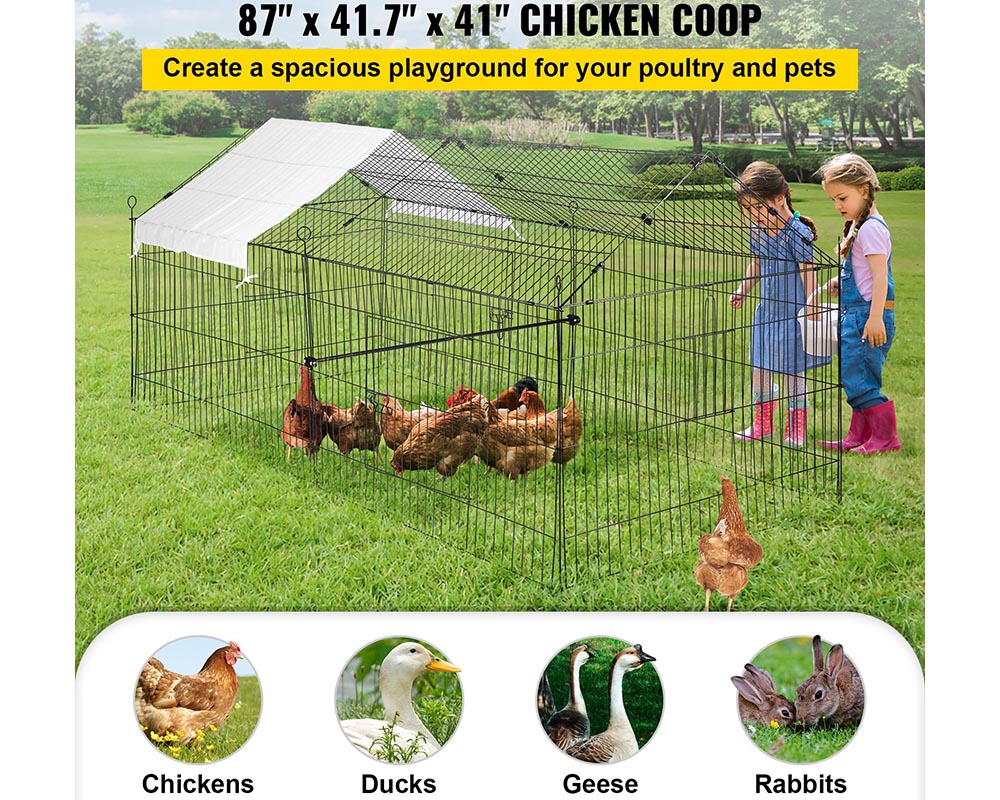 Outdoor Chicken Coop Run
