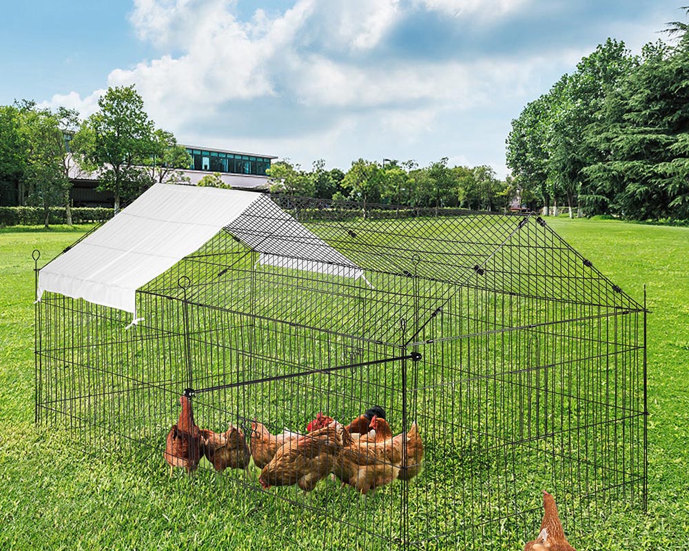 Outdoor Chicken Coop Run
