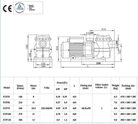 Thumbnail for Swimming Pool Pump STP100 750W - Very Quiet