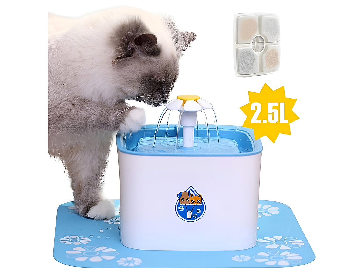 Pet water Drinking Fountain