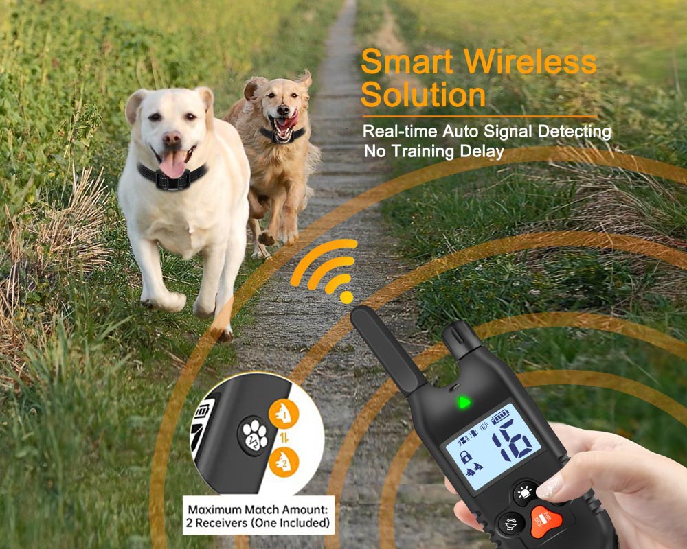Dog Training Collar with LED Light