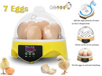 Thumbnail for Egg incubator showing power cord and base