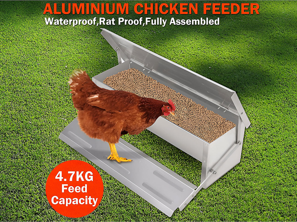Automatic Chicken Feeder