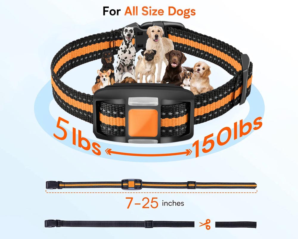 dog collar metal prongs