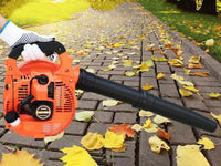 Thumbnail for Leaf Blower Petrol