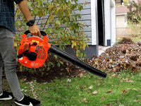 Thumbnail for Leaf Blower Petrol