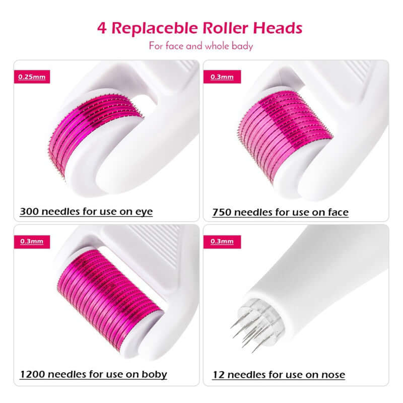 Derma Roller 4 In 1 Derma Roller