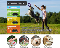 Thumbnail for Dog Training Anti Bark Collar with Remote