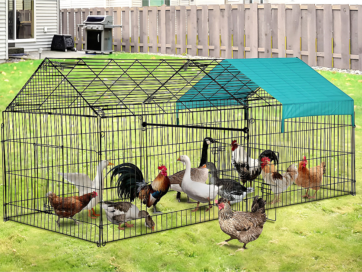Outdoor Chicken Coop