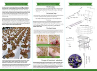 Thumbnail for Indoor Garden Growing System Hydroponic Kit