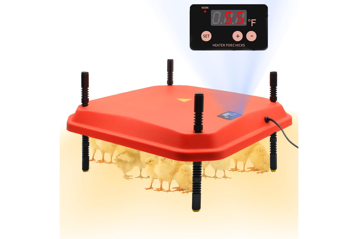 Chick Brooder Heating Plate Warmer,Chicken Coop Heater