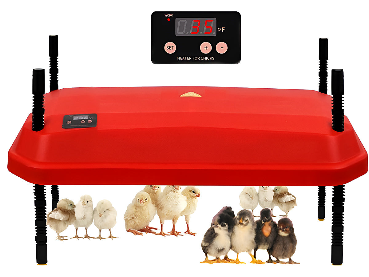 Chick Brooder Heating Plate Warmer,Chicken Coop Heater