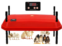 Thumbnail for Chick Brooder Heating Plate Warmer,Chicken Coop Heater