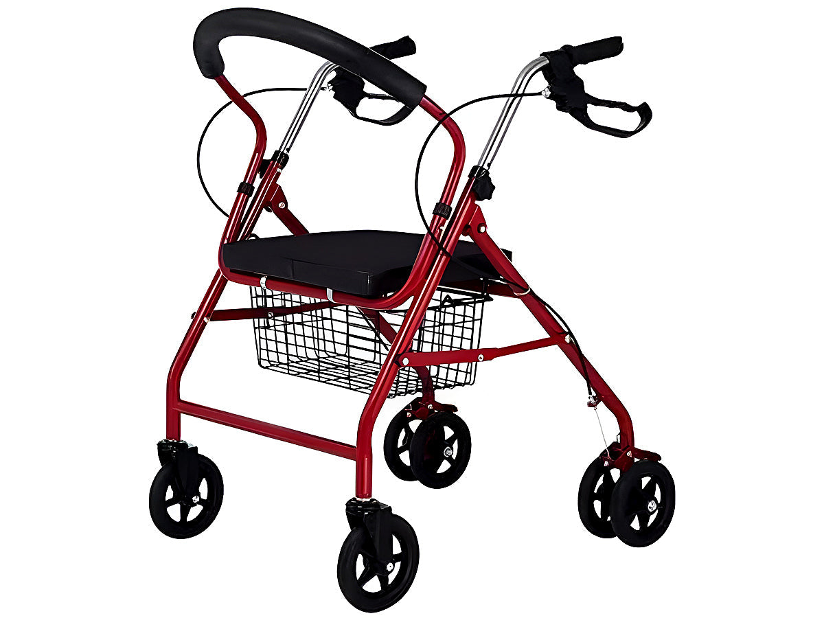 Adult Walking Frame Mobility Walker