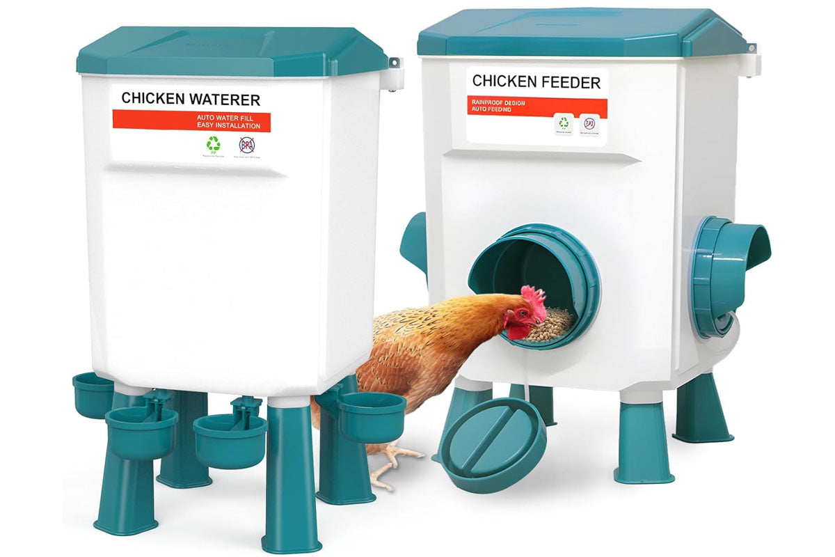 Automatic Chicken Feeder Chicken Drinker