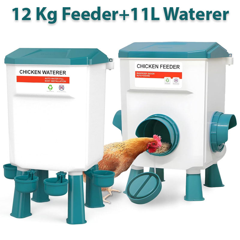 Automatic Chicken Feeder Chicken Drinker