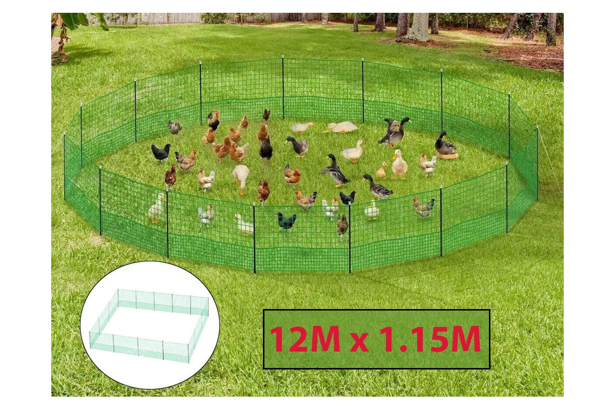Chicken fence mesh showing 10x10cm grid