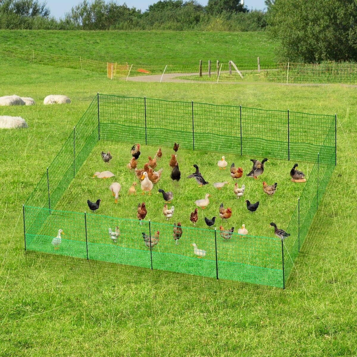 Green PE chicken fence with guy ropes