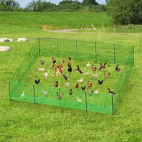 Thumbnail for Green PE chicken fence with guy ropes
