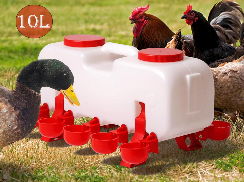 Chicken Water Feeder 10L