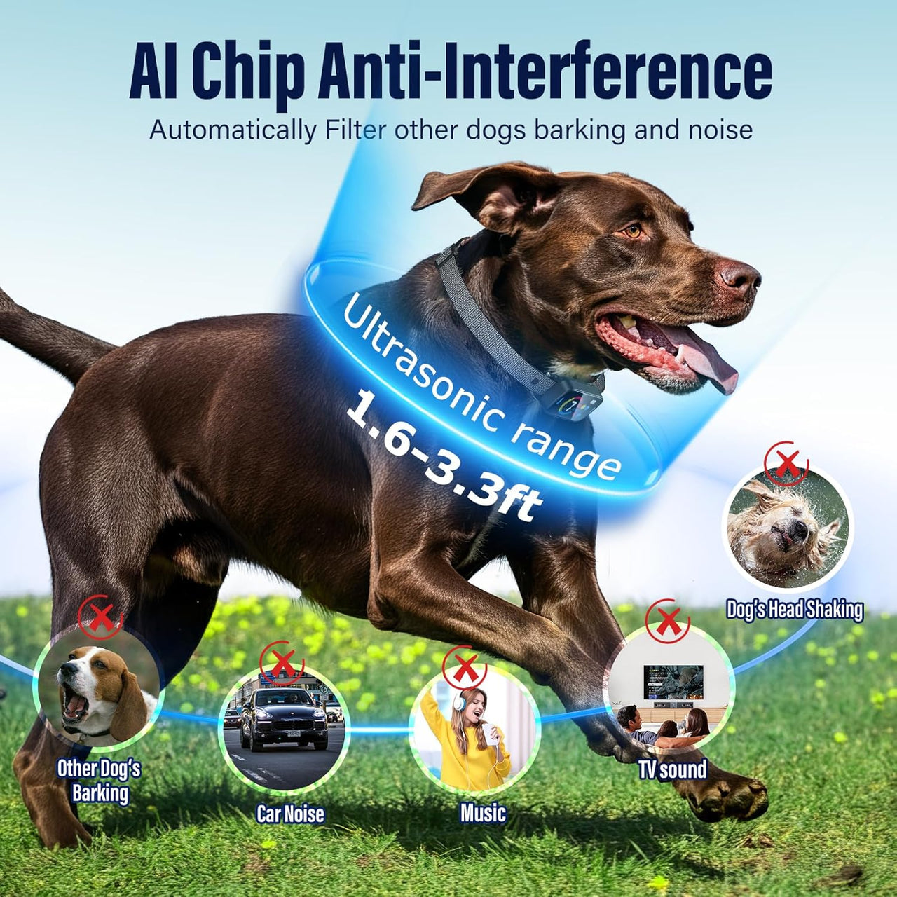 Dog Bark Collar Rechargeable for Small, Medium and Large Dogs