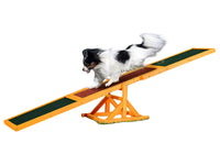 Thumbnail for Dog Agility Equipment Seesaw