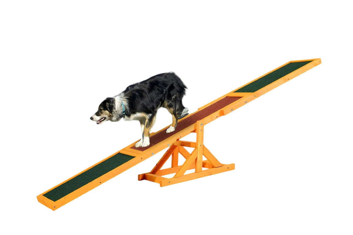 Dog Agility Equipment Seesaw