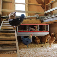 Thumbnail for Chicken Nesting Box with 3 Holes