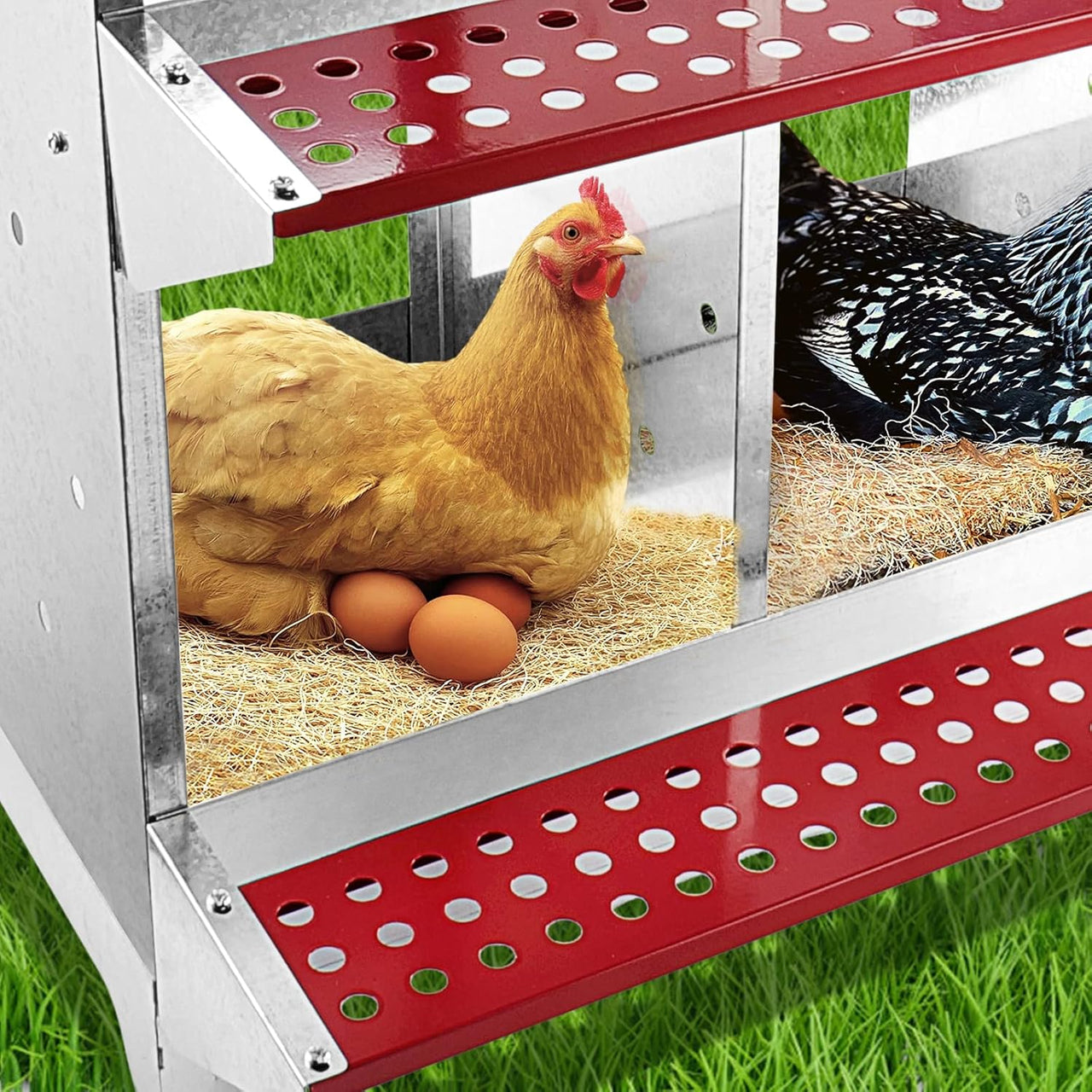 Chicken Nesting Box With 4 nests