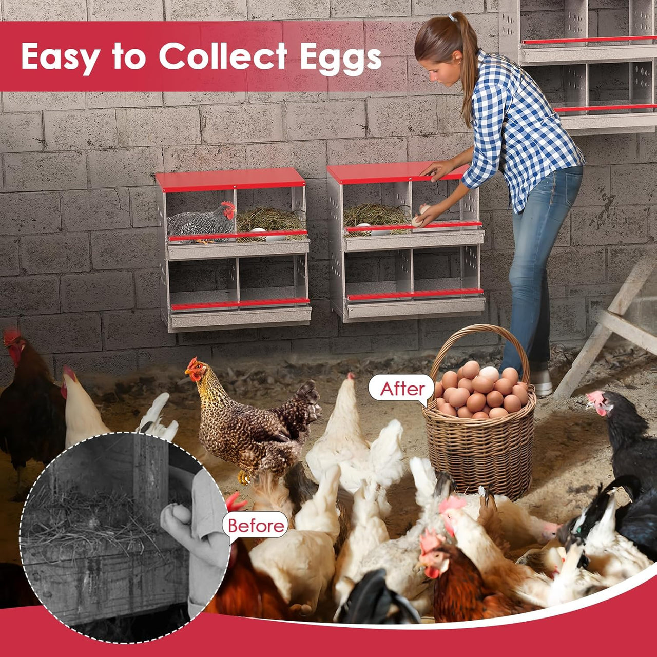 Chicken Nesting Box With 4 nests