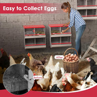 Thumbnail for Chicken Nesting Box With 4 nests
