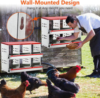 Thumbnail for Nesting Box Chicken Hen Roll Away Laying Nest Boxes Chook Brooder 6 Compartment