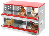 Thumbnail for Nesting Box Chicken Hen Roll Away Laying Nest Boxes Chook Brooder 6 Compartment