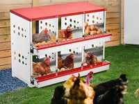 Thumbnail for Nesting Box Chicken Hen Roll Away Laying Nest Boxes Chook Brooder 6 Compartment