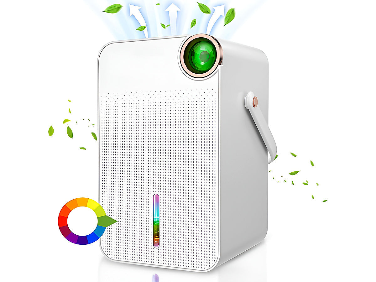 Dehumidifier 1000ml Portable