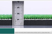 Thumbnail for Indoor Outdoor Golf Practice Hitting Mat