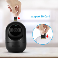 Thumbnail for Security Camera Indoor