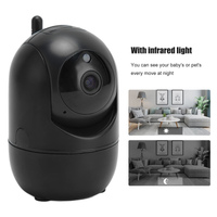Thumbnail for Security Camera Indoor