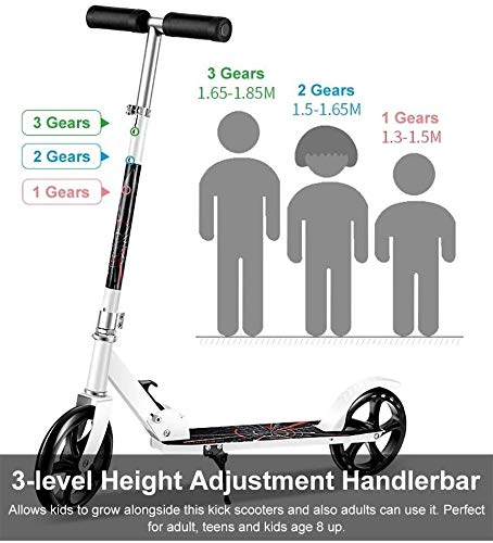 Kids Scooter