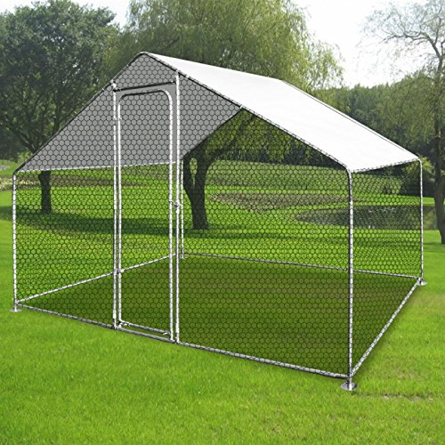 Outdoor Chicken coop 3Mx2M