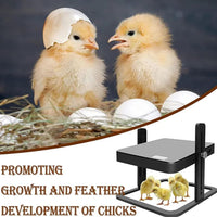 Thumbnail for Chick Brooder Heating Plate Warmer Chicken Coop Heater