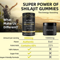 Thumbnail for Himalayan Shilajit Gummies 120 Gummies