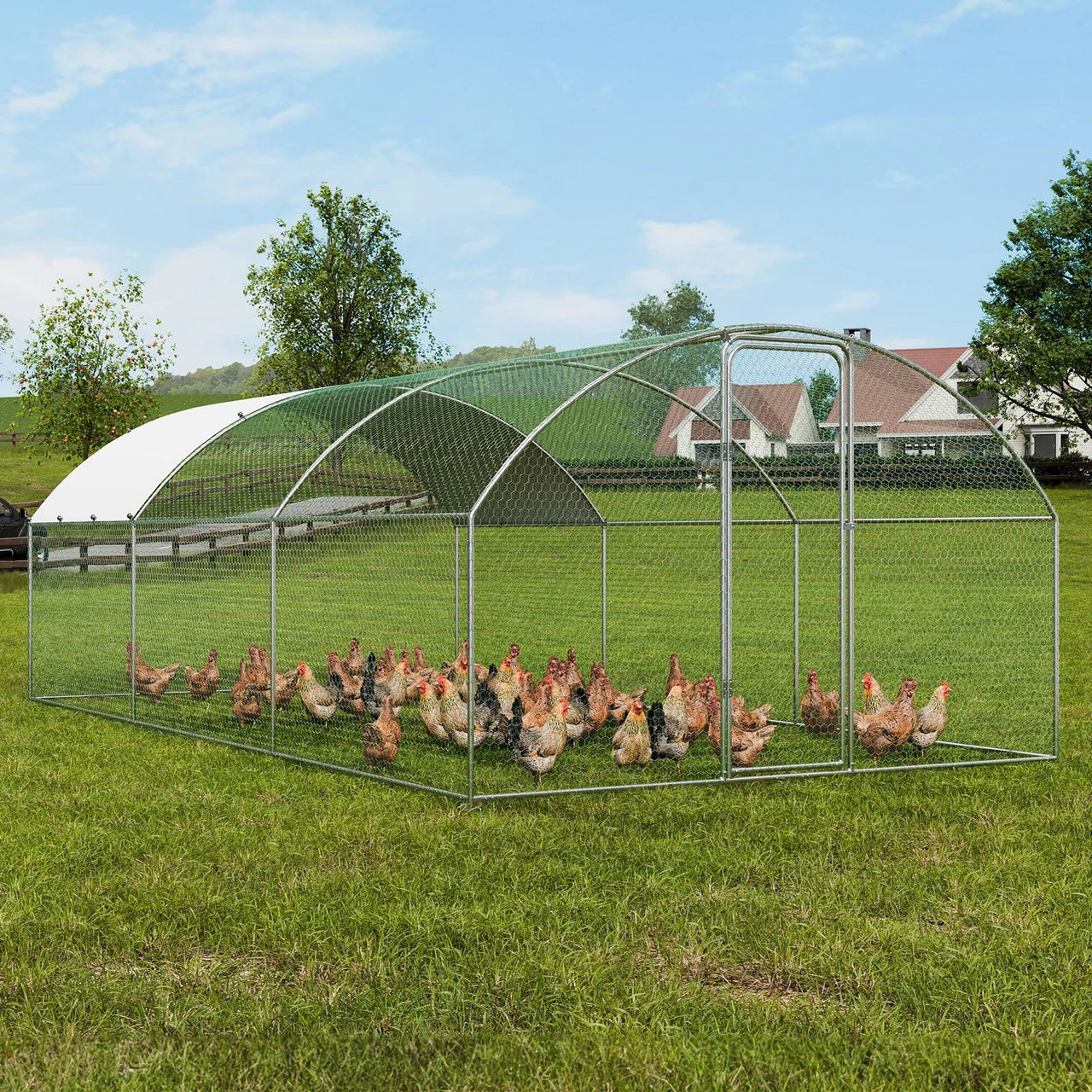 Ventilated design for airflow inside coop
